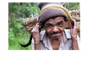 Nepali man collecting grass