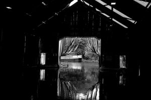 high contrast monochrome photograph