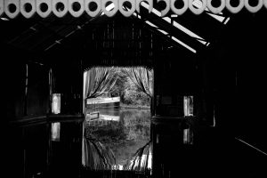 monochrome high contrast jpg from sony camera