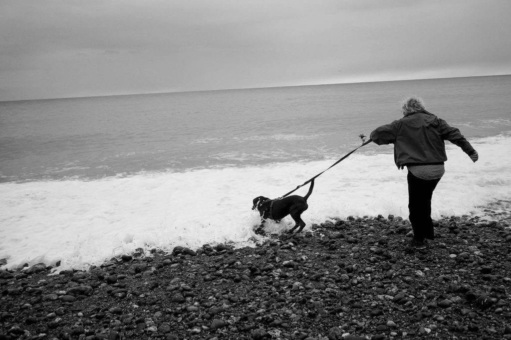 woman on beach with dog