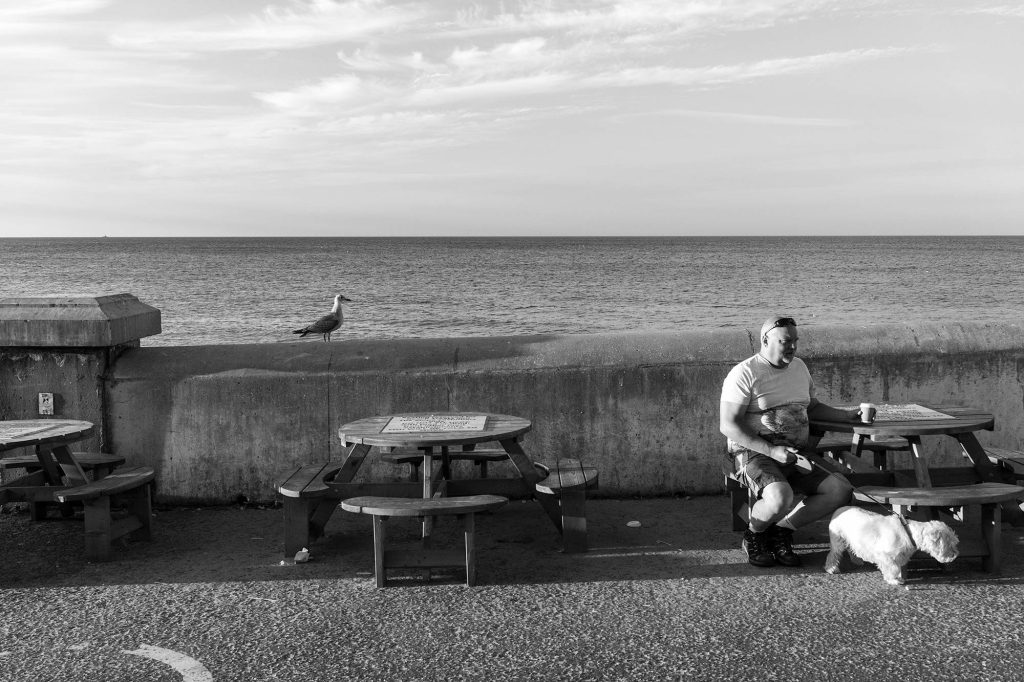 man on beach with dog and seagul