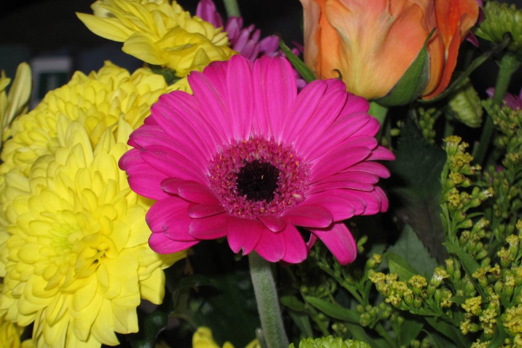 Canon S95 flash example shot